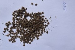 photo_2025-10-25_18-17-49