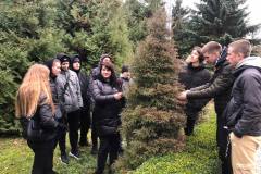 photo_2025-10-26_11-39-53