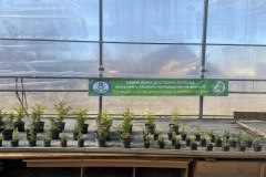 photo_2025-11-16_15-45-01