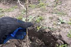 671492138_4375939862644029_8402917625694112424_n