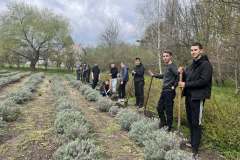 672401105_4375939785977370_4669292136098813135_n