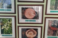 586450558_2041046310031031_5516908667299148717_n