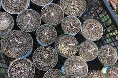 314490758_1271588300297032_2305840422307060077_n