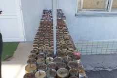 383068278_1420236291875200_7918751956055452070_n