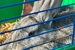 IMG_2255