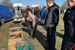 IMG_2256