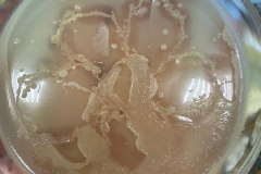 2328da89-b9da-4b71-8b1d-3668a95ad269