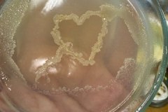 5f084cf0-8ec1-4eae-a8a7-11fc76af05d2