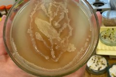 936068b6-ff0e-4f52-815e-8ec83b5932cd