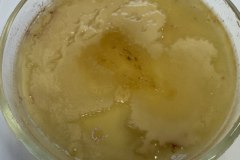 9e4bad2c-cf10-4d24-9571-01cb5efc458f