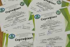 584894161_2239617306545883_820701290673191389_n