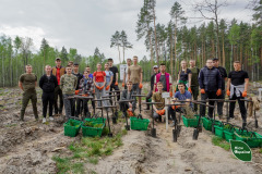 головна-садили-ліс