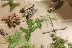 491811213_10044270478938411_6946036424117760258_n