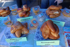 556884950_2070453080367934_2811335998070031078_n