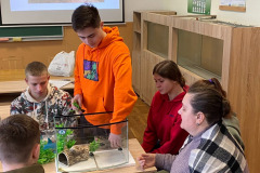 Фітодизайн4