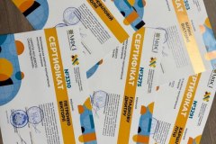 photo_5467456341351203208_y