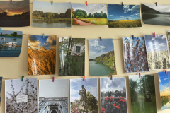 309300004_2022663121258193_5227792337534612768_n