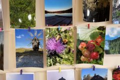 309353641_2023318917859280_2863023002259006539_n