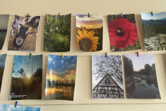 309382100_2022663267924845_3494382432764306906_n