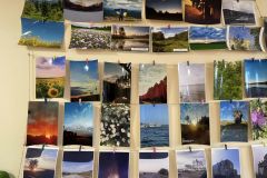 309392855_2023319081192597_8819365360304809148_n