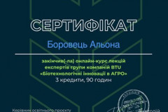 Боровець
