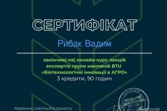 Рибак