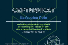 Шабалдіна