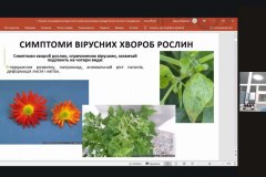 photo_5303105857245613332_y