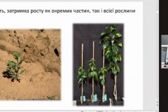 photo_5303105857245613333_y