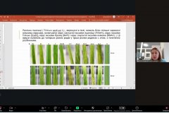 photo_5303105857245613334_y