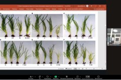 photo_5303105857245613335_y