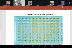 photo_5303105857245613339_y